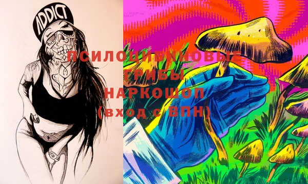 крисы Богданович