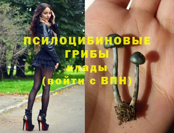 мдма Богородск