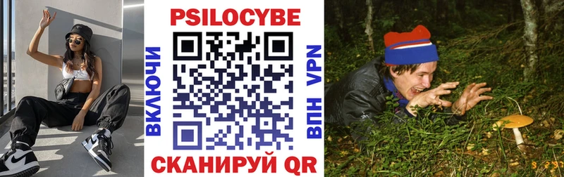 Галлюциногенные грибы Cubensis  Козловка 